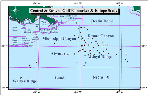 Central and Eastern Gulf Biomarker and Isotope Study (CEGBIS)