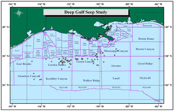 Deepwater Gulf of Mexico Seep Study Phases I and II