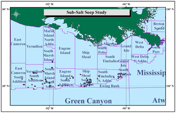 Gulf Sub-Salt Seep Study Phases I and II